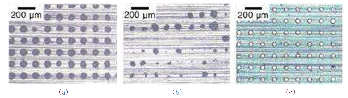 전해에칭으로 가공된 미세 구멍 어레이의 광학 현미경 사진