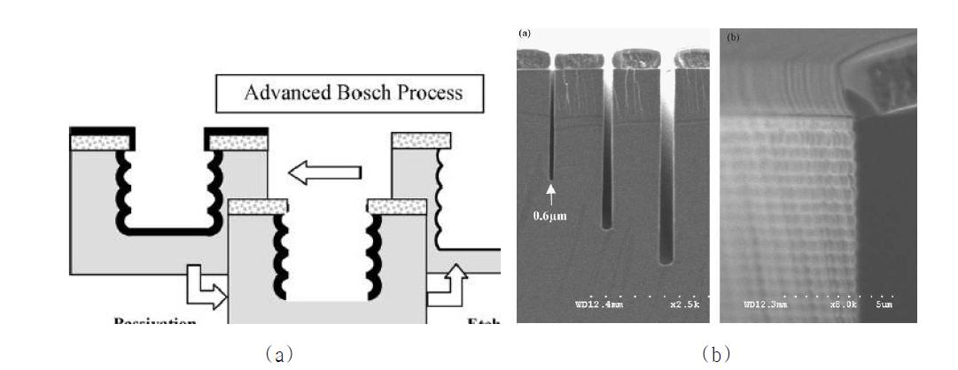 실리콘의( aD)R IE 가 공 ( a ) 가 공 공 정 개 략 도 ( b ) 가 공 된 ( b실)리콘의 SEM 사진