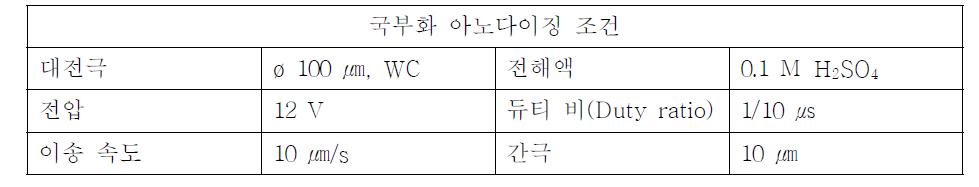 국부화 아노다이징 조건