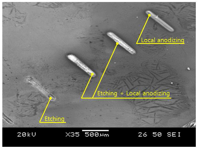 선정된 전해 에칭 조건과 국부화 아노다이징 조건을 이용하여 가공한 전해에칭, 및 국부화 아노다이징, 내부 국부화 아노다이징 패턴의 SEM 분석 사진 결과