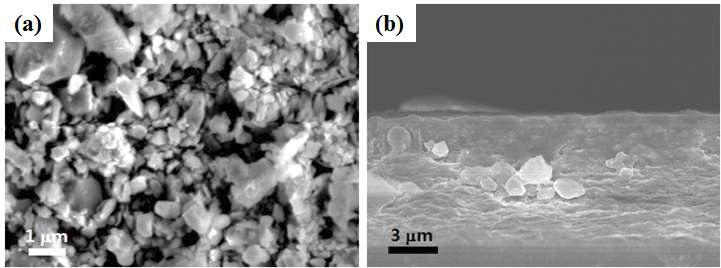 SEM micrograph of (a) YSZ powder morphology and (b) cross-sectional image of YSZ film