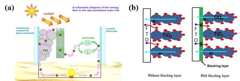 (a) Principle of die sensitized solar cell (DSSC) and (b) effect of blocking layer (BL) application within DSSC.