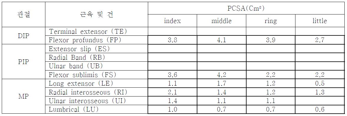 각 손가락별 관절의 근육 및 건