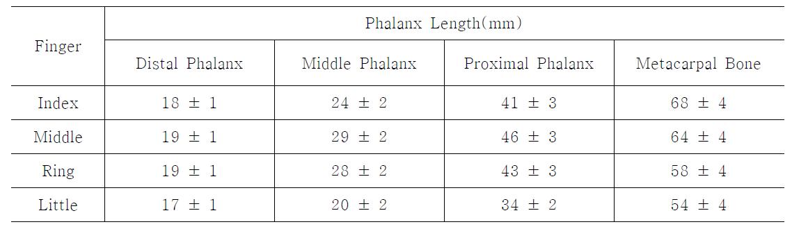각 손가락별 Phalanx Length