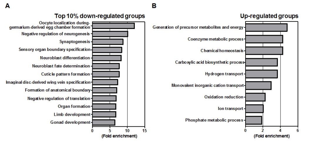 dcr-2 돌연변이 pupa에서의 발현 차이를 보이는 유전자의 functional enrichment 분석