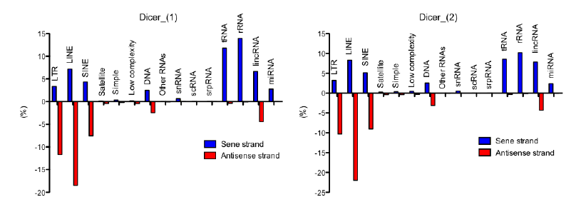 Dicer에 결합된 non-coding RNA의 sense/antisense 유래 분석 2 set에서 얻어진 Dicer 결합 non-coding RNA의 분석. 파란색은 해당 RNA의