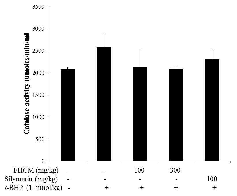 Effects of FHCM extract on catalase activities in t-BHP-treated mice.