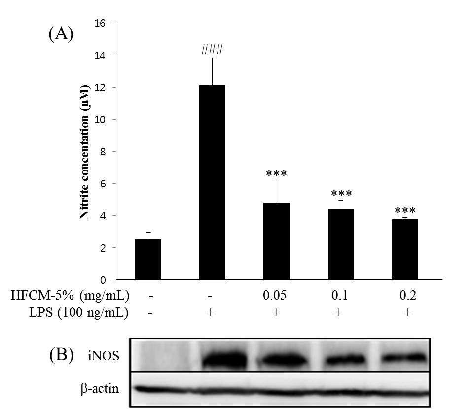 Effect of HFCM-5 inhibition of nitrite production and iNOS expression on LPS-stimulated RAW264.7 cells