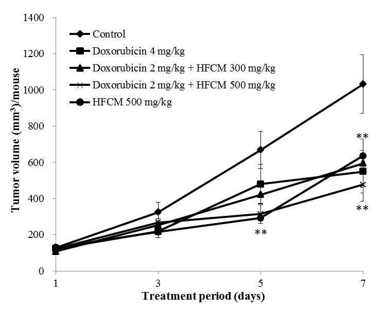 The effects of tumor volume by co-treatment doxorubicin and HFCM extracts were analyzed in mice.