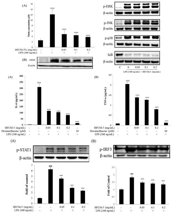 Nitrite production, pro-inflammatory cytokine and protein expression on LPS-stimulated RAW264.7 cells