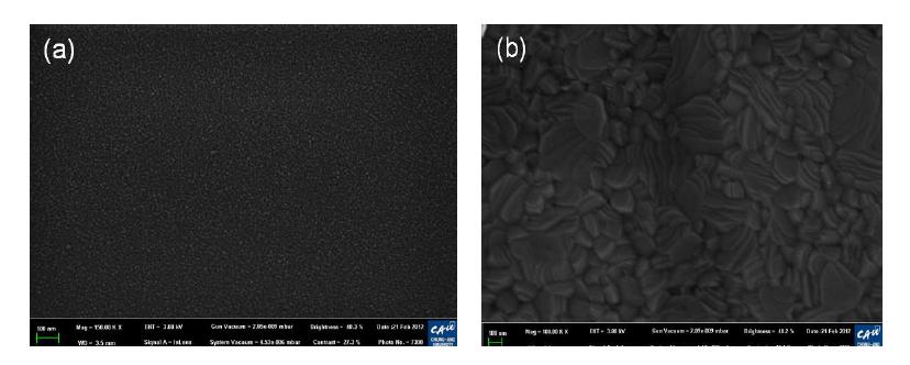 RTA를 활용한 annealing temperature에 따른 CuXO 박막의 SEM 사진. (a) no annealing (b) 800 oC.