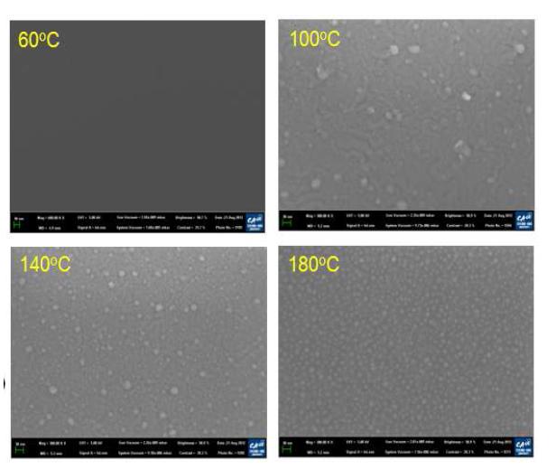 60 C에서 180 C까지 증착온도를 변화시켜가며 형성한 SnO 박막의 SEM image.