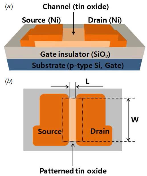 Bottom-gate type SnO TFT의 (a) 단면과 (b) 윗면. 그림에서 W와 L은 제작된 소자의 채널폭과 길이를 나타낸다.