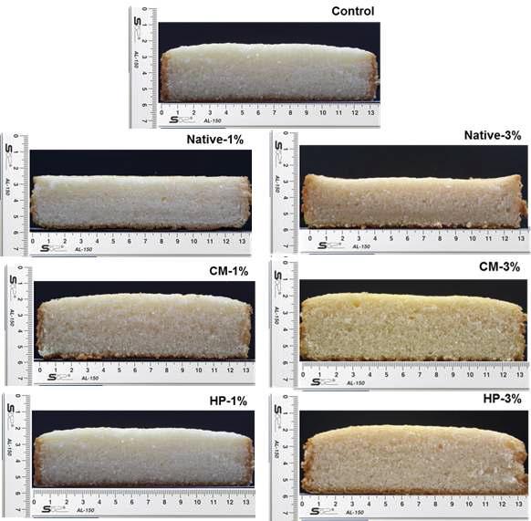 Pictures of control cake and cakes with native or chemically modified wheat DF.