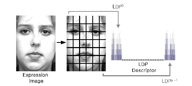 지역 LDP히스토그램 계산을 위한 블록 분할 및 히스토그램 연결을 통한 얼굴표정특징 벡터 표현