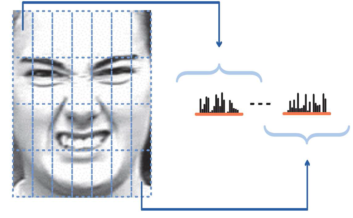 에지 반응 값이 가장 큰 방향정보와 이웃화소의 밝기 차이를 결합한 LDP의 지역 히스토그램 계산을 위한 4 x 7블록 분할 및 히스토그램 연결을 통한 얼굴특징 벡터 표현