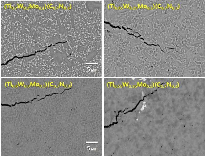 3원계 (Ti,W,Mo)(CN)-Ni 소결체의 미세 구조 및 indentation crack: Mo=0.1