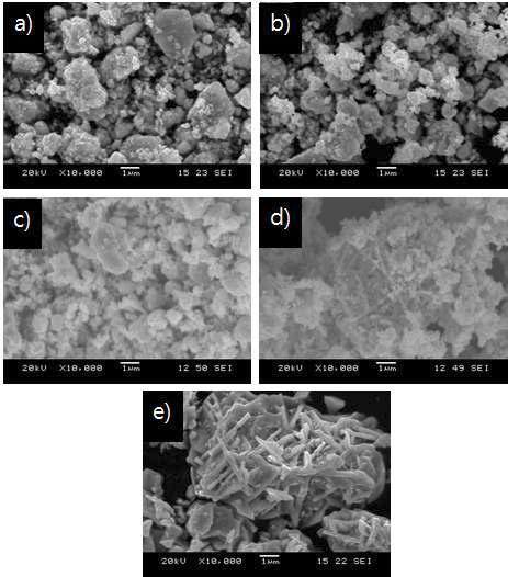환원 온도에 따른 분말 SEM (유지시간 없음) a) 900도, b) 1100도, c) 1200도, d) 1300도, e) 1400도