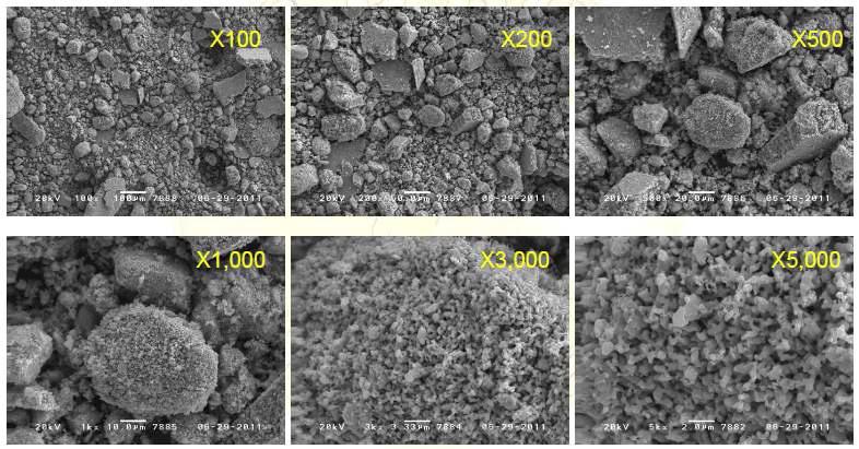 SEM images of solid solution powder