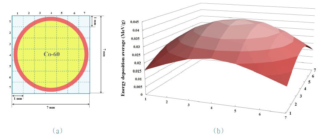 원형 디스크 형태의 Co-60 감마선원의 위치별 선량분포