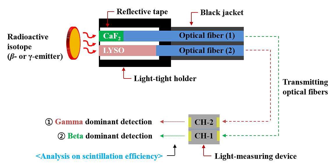 CaF2(Eu)와 LYSO(Ce) 섬광체를 이용한 베타/감마 이중 검출기의 구조