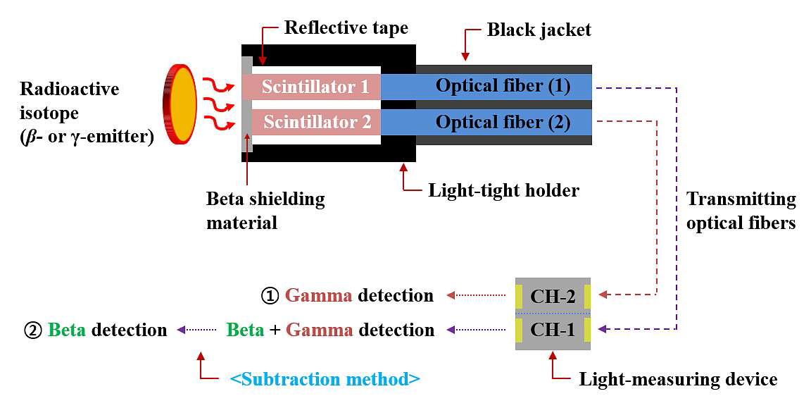 LYSO(Ce) 섬광체와 베타선 차폐물질을 이용한 베타/감마 이중 검출기의 구조