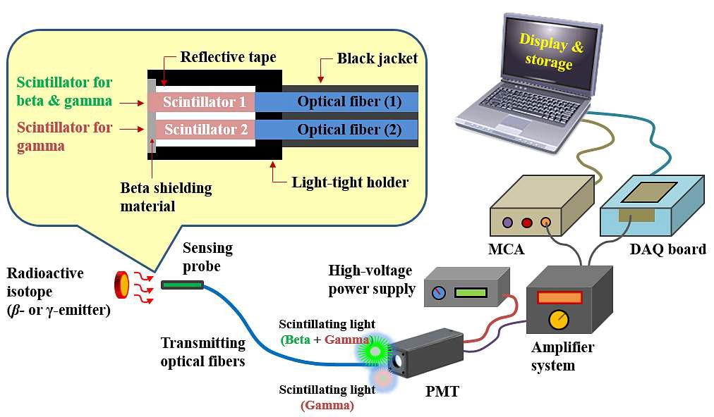 베타/감마 이중 검출기를 이용한 전체 실험구성