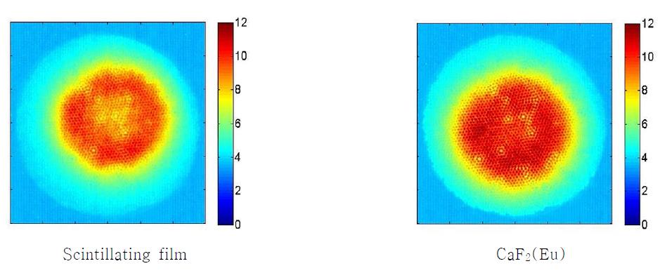 섬광체의 종류에 따른 Cs-137 감마선원의 섬광영상