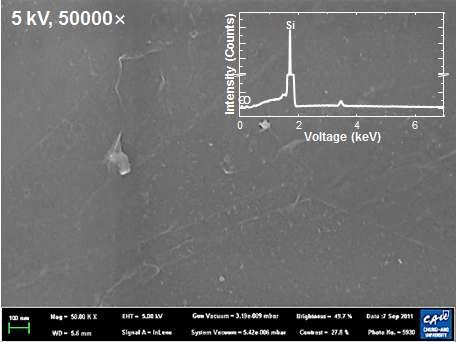 합성된 그래핀의 FE-SEM image 및 EDS 원소 분석 결과