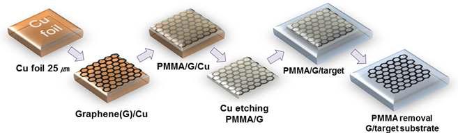 Cu foil위에 생성된 그래핀의 전사