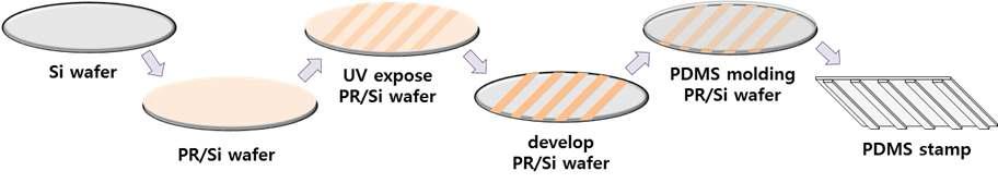 PDMS stamp 제작 방법