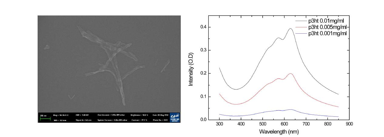 P3HT 나노와이어의 FE-SEM 이미지 및 UV 흡수스펙트럼