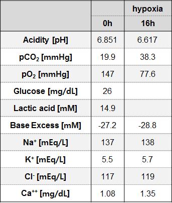 hypoxia 1시간에서 배양액 전해질의 변화