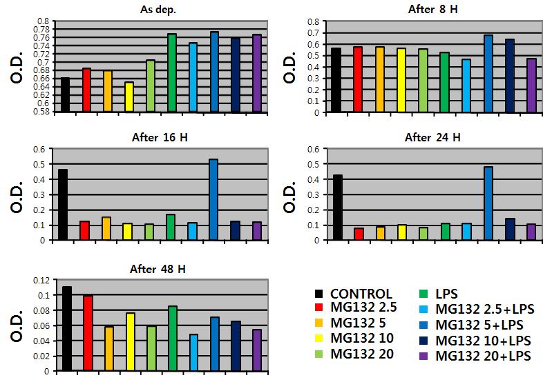 정상산소분압 상에서 Raw264.7 세포의 LPS, MG-132, LPS, NH4Cl, DMSO에 대한 증식 (MTT assay)