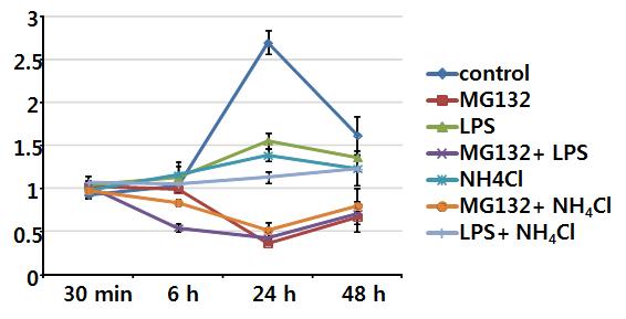 Proliferation of Raw264.7 cells treated with chemical compounds in normoxia for 48 hours