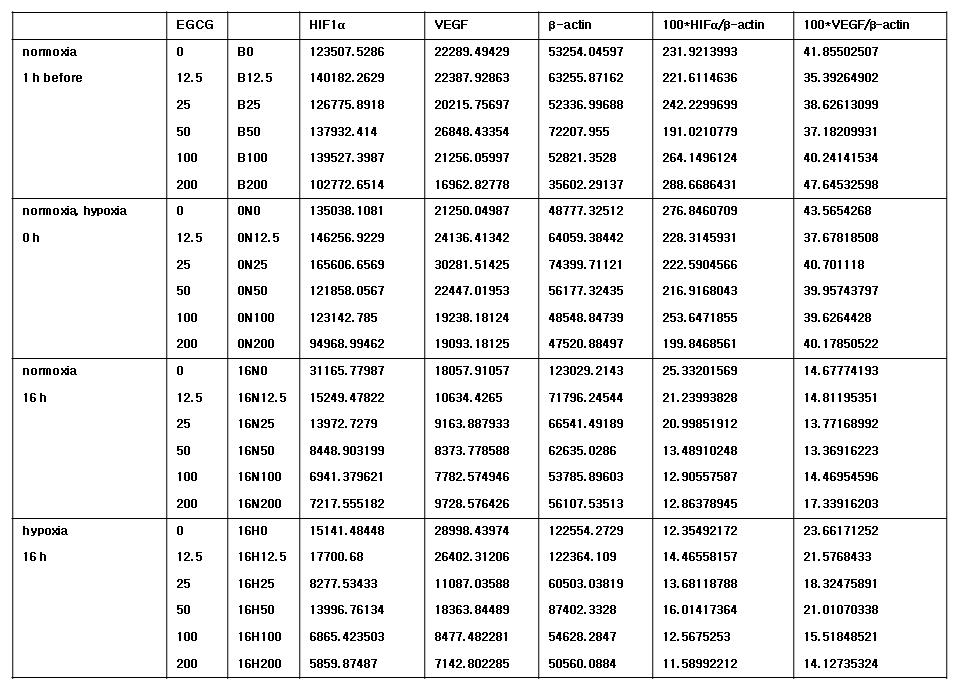 RT-PCR 결과의 정량 분석