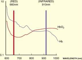 파장에 따른 옥시헤모글로빈과 디옥시헤모글로빈의 흡수도 차이