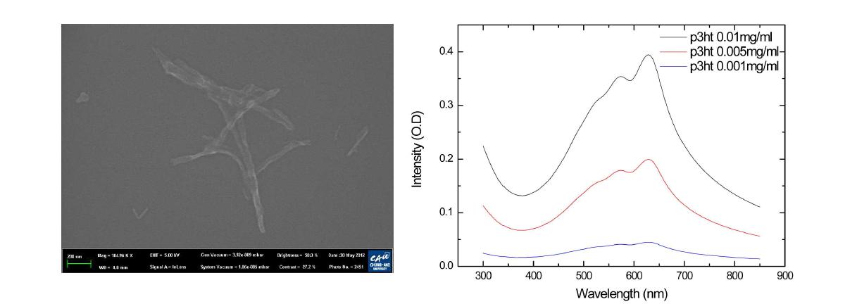 P3HT 나노와이어의 FE-SEM 이미지 및 UV 흡수스펙트럼