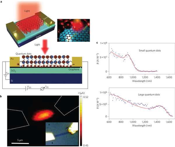 양자점이 코팅된 그래핀을 이용한 광트랜지스터
