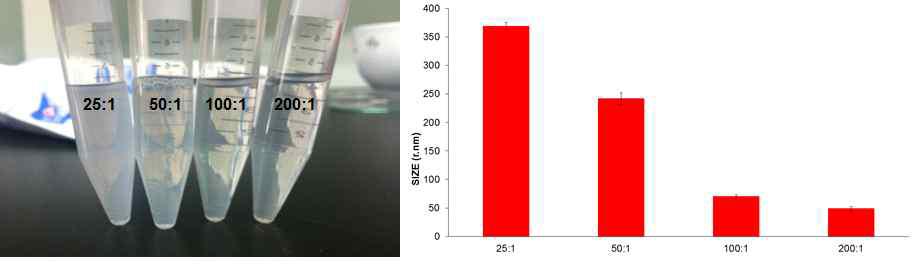 PNIPAM based nanogel 제작 및 크기 조절.