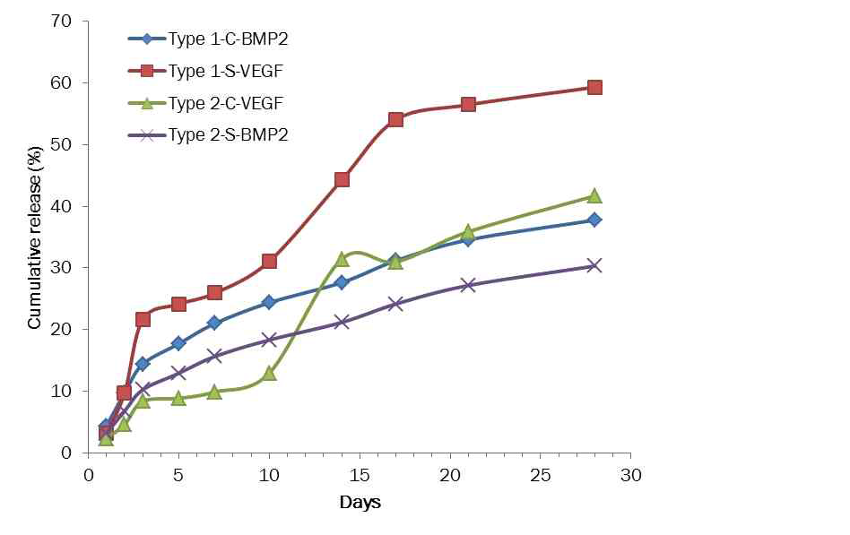 두 종류(type I and 2)의 마이크로캡슐로부터 BMP-2와 VEGF 방출 프로파일의 4주간 관찰.