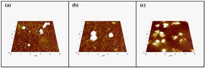 AFM image of different type of nanogels (a) NIPAM, (b) NIPAM with   and (C) NIPAM with AA.