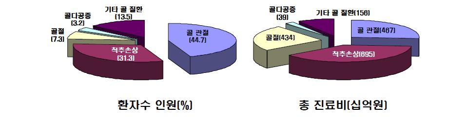 골 질환 관련 환자수 인원(%) 및 총진료비