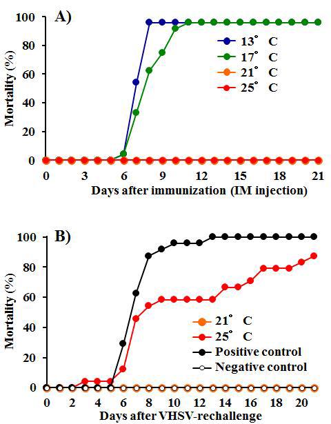 Time-dependent changes in fish mortalities by immunization (intramuscular injection routes) at different fish rearing temperatures and by re-challenge with VHSV.