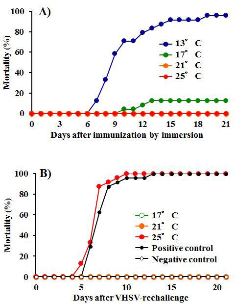 Time-dependent changes in fish mortalities by immunization (immersion routes) at different fish rearing temperatures and by re-challenge with VHSV.