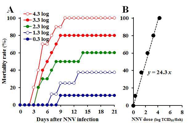 Pathogenicity of NNV against sevenband grouper.