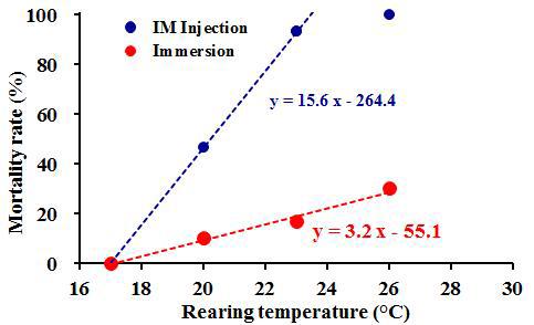 Correlation between fish mortalities by NNV infection and fish rearing temperatures at 17, 20, 23, and 26℃. Broken blue line: a regression line for correlation between rearing temperature and mortality of fish infected by IM injection, broken red line: a regression line between rearing temperature and mortality of fish infected by immersion.