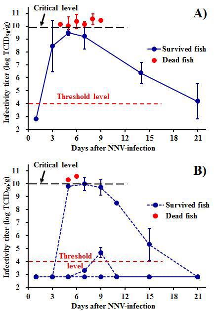Kinetics of NNV infectivity titer in fish reared at 26℃. Fish reared at 26℃ were infected with NNV at 102.3 TCID50 fish-1 by IM injection
