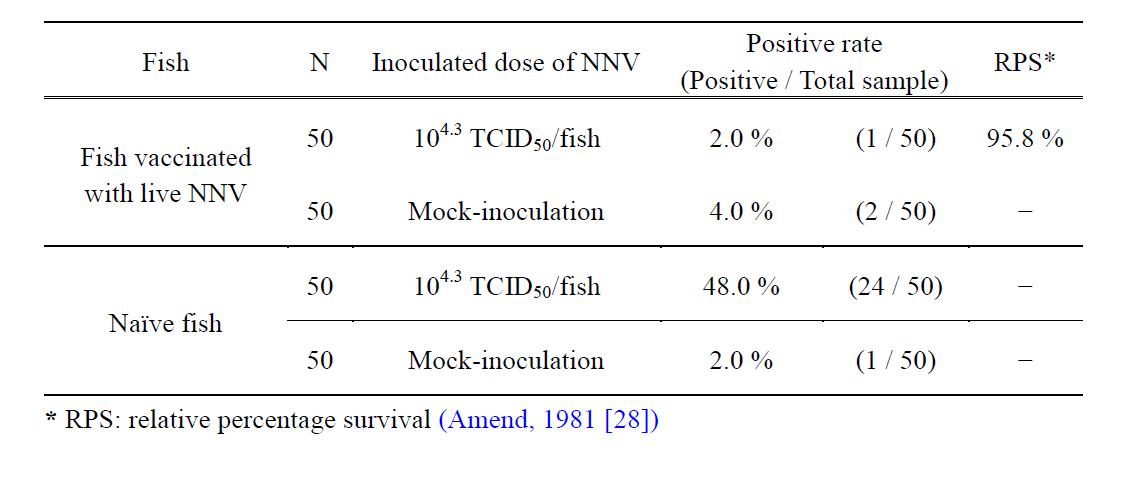 Cumulative mortality of sevenband grouper with nervous necrosis virus (NNV) live vaccine by re-infection with NNV