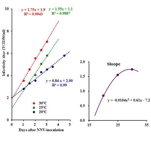 Multiplication curves of NNV cultured with SSN-1 cells at different temperatures. SSN-1 cells seeded in culture flask were inoculated with 100 TCID50 of NNV and cultured at 20℃, 25℃ and 30℃. Portion of culture fluid was sampled on the appropriate days to monitor changes in NNV infectivity titer.